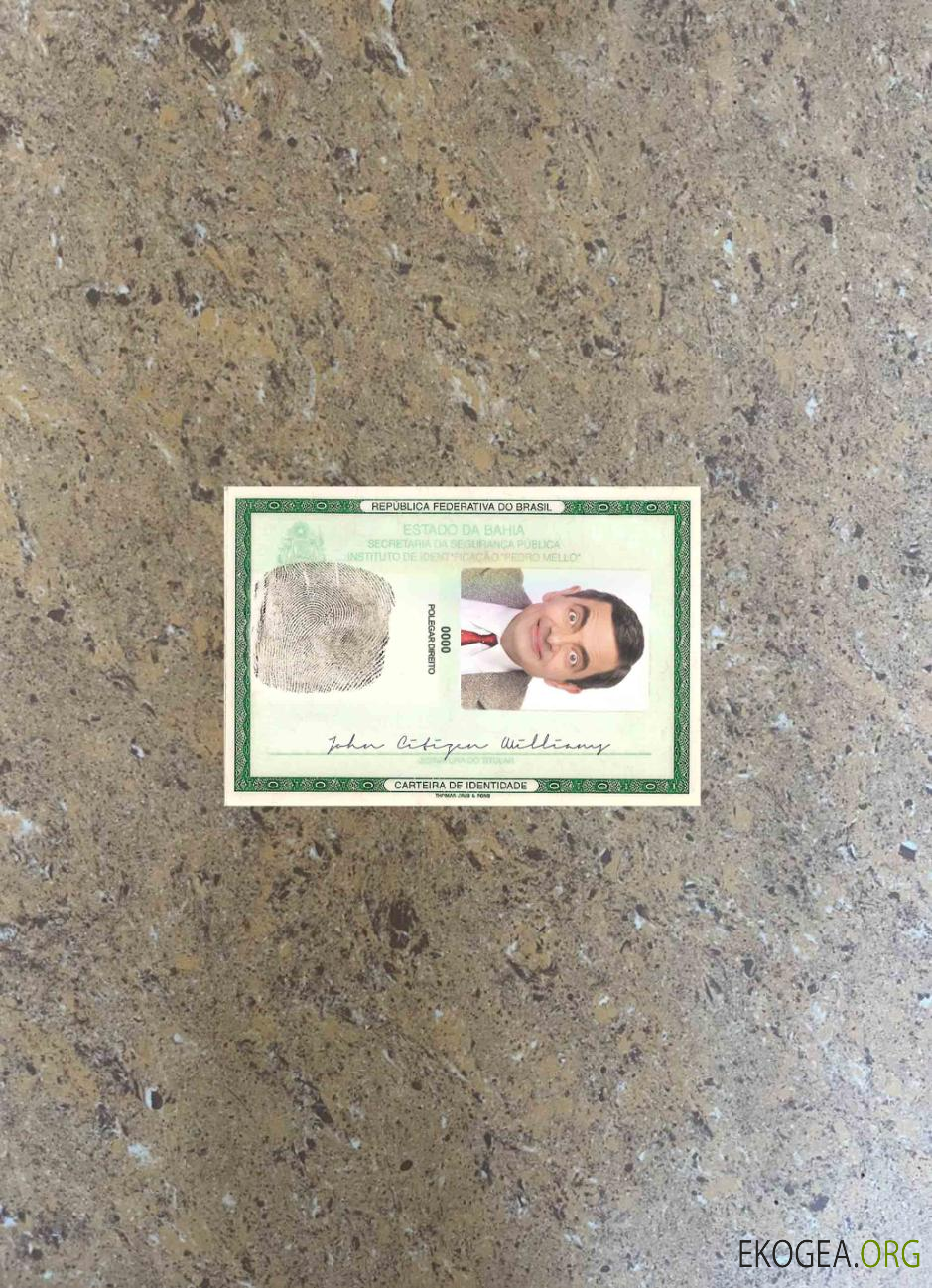 Modèle d'identification du Brésil (2008 2010) photolook AVANT